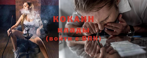 прущие крисы Алзамай
