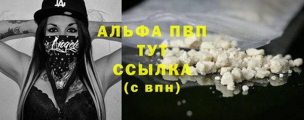 прущие крисы Алзамай