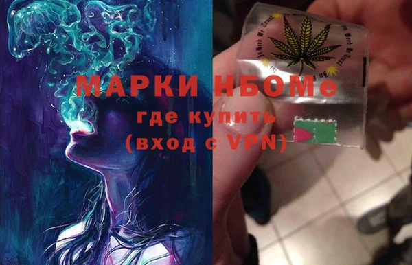 хмурый Алексин
