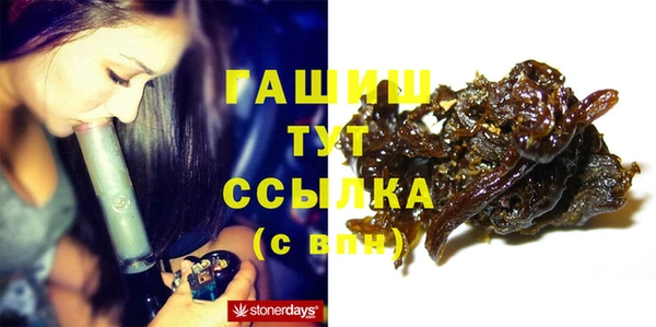 хмурый Алексин