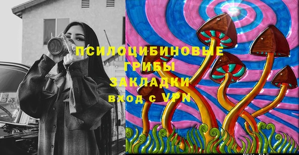 хмурый Алексин