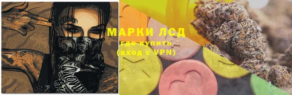 хмурый Алексин
