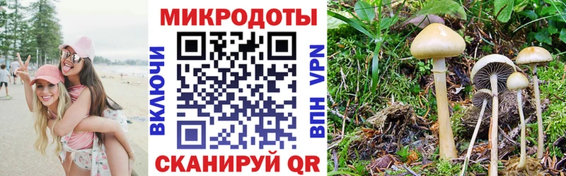 купить наркотики цена  Петров Вал  Галлюциногенные грибы Psilocybine cubensis 